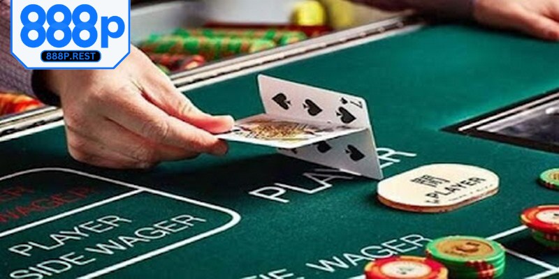 Cách chơi Catte chi tiết, dễ hiểu cho người mới tham gia lần đầu