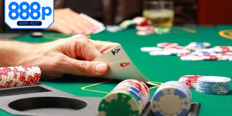 Những mẹo hay trong cách chơi Catte thắng lớn được chia sẻ từ chuyên gia