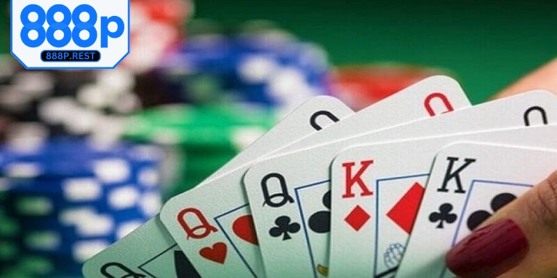 Catte là game bài xuất phát từ Ấn Độ ngày càng phổ biến trên các nền tảng