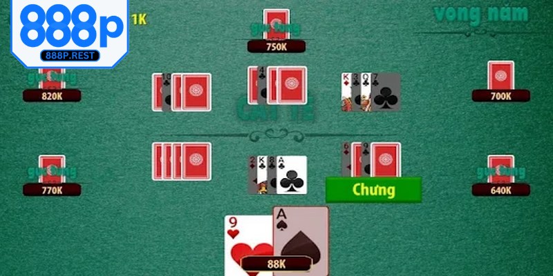 Cao thủ chia sẻ kinh nghiệm hay đánh Catte thắng lớn