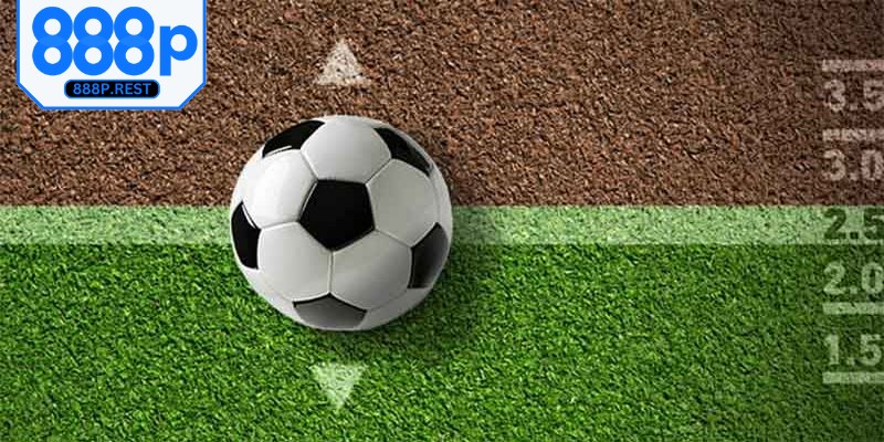 Cách chọn kèo bóng đá dựa vào biến động tỷ lệ được nhiều cao thủ áp dụng