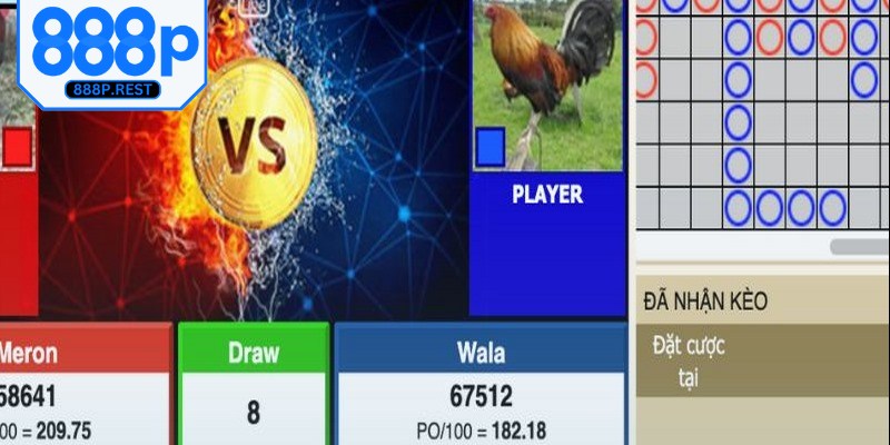 Sảnh đá gà 888P được yêu thích nhờ những ưu thế nổi bật
