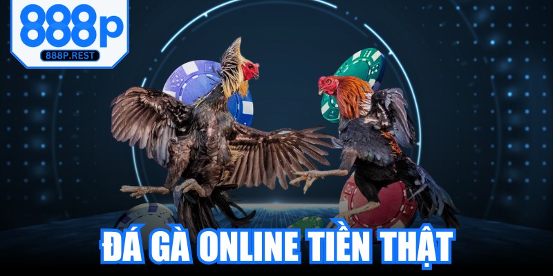 Đá Gà Online Tiền Thật