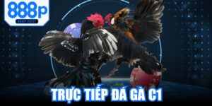Trực Tiếp Đá Gà C1