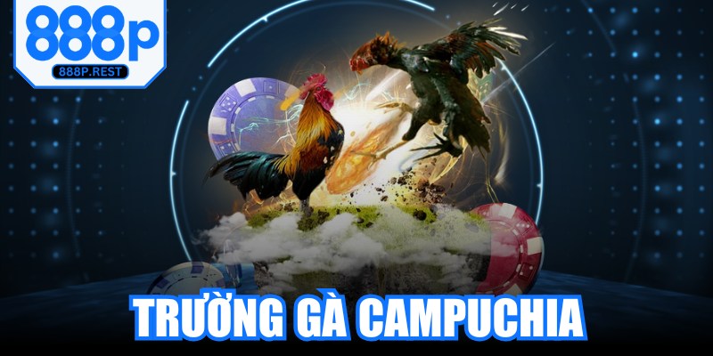 Trường Gà Campuchia