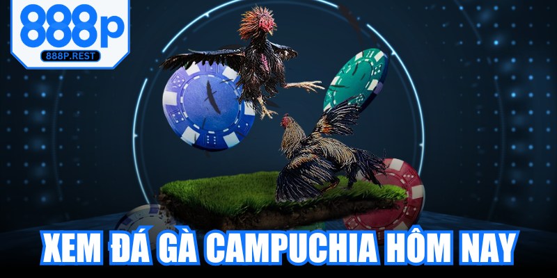 Xem Đá Gà Campuchia Hôm Nay